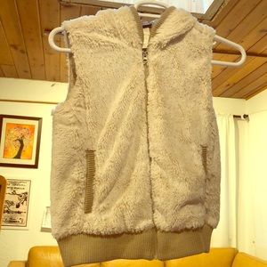 Patagonia hooded vest